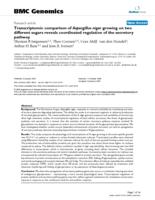 Transcriptomic comparison of Aspergillus niger growing on two different sugars reveals coordinated regulation of the secretory pathway