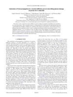 Saturation of front propagation in a reaction diffusion process describing plasma damage in porous low-k materials