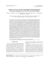 Induction of necrosis and DNA fragmentation during hypothermic preservation of hepatocytes in UW, HTK, and Celsior solutions