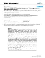 ERK1 and ERK2 MAPK are key regulators of distinct gene sets in zebrafish embryogenesis