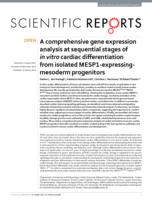 A comprehensive gene expression analysis at sequential stages of in vitro cardiac differentiation from isolated MESP1-expressing-mesoderm progenitors