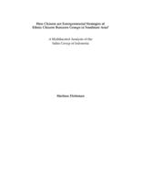 How Chinese are entrepreneurial strategies of ethnic Chinese business groups in Southeast Asia? : a multifaceted analysis of the Salim Group of Indonesia