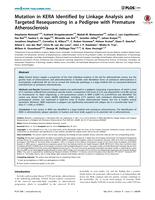 Mutation in KERA identified by linkage analysis and targeted resequencing in a pedigree with premature atherosclerosis.