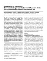 Visualization of interactions between a pathogenic and a beneficial Fusarium strain during biocontrol of tomato foot and root rot