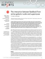The interaction between feedback from active galactic nuclei and supernovae