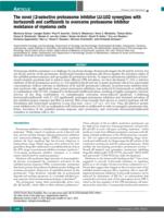 The novel beta 2-selective proteasome inhibitor LU-102 synergizes with bortezomib and carfilzomib to overcome proteasome inhibitor resistance of myeloma cells