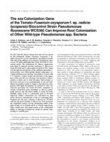 The sss colonization gene of the tomato-Fusarium oxysporum f. sp radicislycopersici biocontrol strain Pseudomonas fluorescens WCS365 can improve root colonization of other wild-type Pseudomonas spp. bacteria