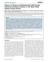 Patterns in Nuclear and Mitochondrial DNA Reveal Historical and Recent Isolation in the Black-Tailed Godwit (Limosa limosa)