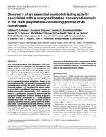 Discovery of an essential nucleotidylating activity associated with a newly delineated conserved domain in the RNA polymerase-containing protein of all nidoviruses