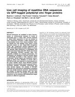 Live cell imaging of repetitive DNA sequences via GFP-tagged polydactyl zinc finger proteins