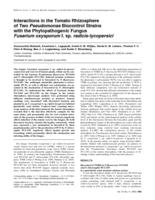 Interactions in the tomato rhizosphere of two Pseudomonas biocontrol strains with the phytopathogenic fungus Fusarium oxysporum f. sp. radicis-lycopersici