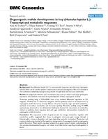 Organogenic nodule development in hop (Humulus lupulus L.): transcript and metabolic responses