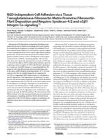 RGD-independent Cell Adhesion via a Tissue Transglutaminase-Fibronectin Matrix Promotes Fibronectin Fibril Deposition and Requires Syndecan-4/2 and alpha 5 beta 1 Integrin Co-signaling