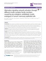 Alternative signaling network activation through different insulin receptor family members caused by pro-mitogenic antidiabetic insulin analogues in human mammary epithelial cells