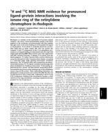 1H and 13C MAS NMR Evidence for Pronounced Ligand-Protein Interactions Involving the Ionone Ring of the Retinylidene Chromophore in Rhodopsin