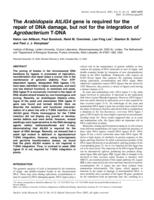 The Arabidopsis AtLIG4 gene is required for the repair of DNA damage, but not for the integration of Agrobacterium T-DNA