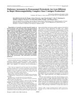 Pathways accessory to proteasomal proteolysis are less efficient in major histocompatibility complex class I antigen production