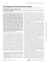 Base flipping in nucleotide excision repair