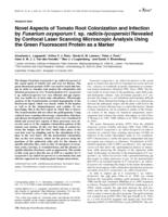 Novel aspects of tomato root colonization and infection by Fusarium oxysporum f. sp. radices-lycopersici revealed by confocal laser scanning microscopy analysis using the green fluorescent protein as a marker