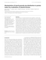 Manipulation of starch granule size distribution in potato tubers by modulation of plastid division