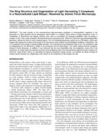 The ring structure and organization of light harvesting 2 complexes in a reconstituted lipid bilayer, resolved by atomic force microscopy