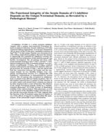 The functional integrity of the serpin domain of C1 inhibito depends on the unique N-terminal domain, as revealed by a pathological mutant