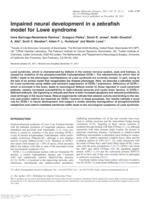 Impaired neural development in a zebrafish model for Lowe syndrome