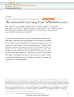 The seco-iridoid pathway from Catharanthus roseus