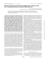 Distinct functional interactions of human Skn-1 isoforms with Ese- during keratinocyte terminal differentiation