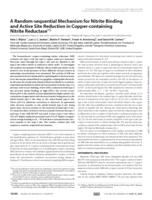 A Random-Sequential Mechanism for Nitrite Binding and Active Site Reduction in Copper-containing Nitrite Reductase