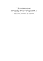 The human minor histocompatibility antigen HA-1 : its processing, presentation and recognition