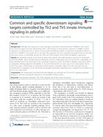 Common and specific downstream signaling targets controlled by Tlr2 and Tlr5 innate immune signaling in zebrafish