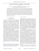 Geometry and topology of turbulence in active nematics.