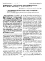 Purification and characterization of human chitotriosidase, a novel member of the chitinase family of proteins