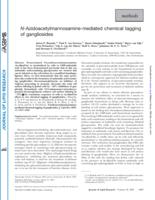 N-Azidoacetylmannosamine-mediated chemical tagging of gangliosides