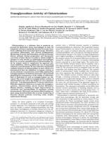 Transglycosidase activity of chitotriosidase - Improved enzymatic assay for the human macrophage chitinase