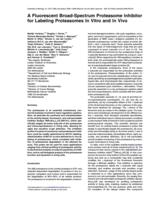 A fluorescent broad-spectrum proteasome inhibitor for labeling proteasomes in vitro and in vivo