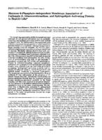 Mannose 6-phosphate-independent membrane association of cathepsin D, glucocerebrosidase, and sphingolipid-activating protein in HepG2 cells