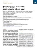 Heterozygosity for a Loss-of-Function Mutation in GALNT2 Improves Plasma Triglyceride Clearance in Man