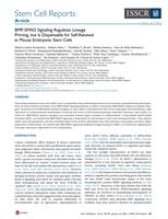 BMP-SMAD Signaling Regulates Lineage Priming, but Is Dispensable for Self-Renewal in Mouse Embryonic Stem Cells