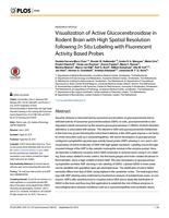 Visualization of Active Glucocerebrosidase in Rodent Brain with High Spatial Resolution following In Situ Labeling with Fluorescent Activity Based Probes