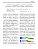 Tuning Hydrophobicity of Platinum by Small Changes in Surface Morphology