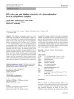 DNA cleavage and binding selectivity of a heterodinuclear Pt-Cu(3-Clip-Phen) complex