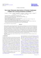 Very Large Telescope observations of Gomez's Hamburger: Insights into a young protoplanet candidate