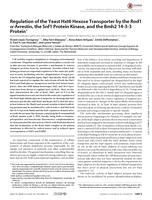 Regulation of the Yeast Hxt6 Hexose Transporter by the Rod1 alpha-Arrestin, the Snf1 Protein Kinase, and the Bmh2 14-3-3 Protein