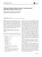 Modeling Biological Gradient Formation: Combining Partial Differential Equations and Petri Nets