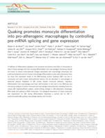 Quaking promotes monocyte differentiation into pro-atherogenic macrophages by controlling pre-mRNA splicing and gene expression.