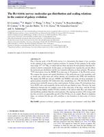 The BLUEDISK Survey: molecular gas distribution and scaling relations in the context of galaxy evolution