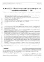 ALMA-resolved salt emission traces the chemical footprint and inner wind morphology of VY Canis Majoris