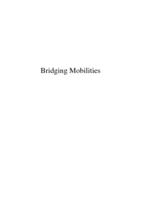 Bridging mobilities: ICTs appropriation by Cameroonians in South Africa and The Netherlands